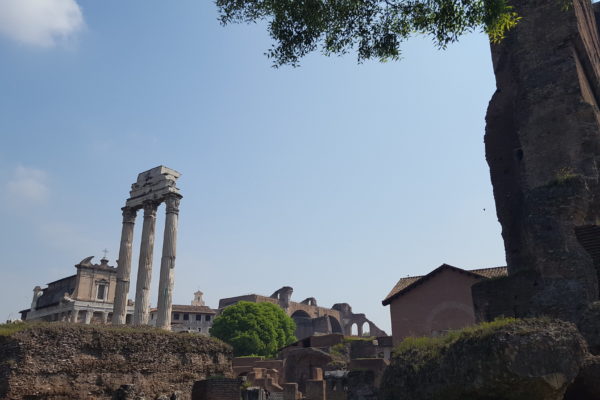 Ancient Rome Live Castor, Aedes, Templum Temple of Castor and Pollux Jamie Heath