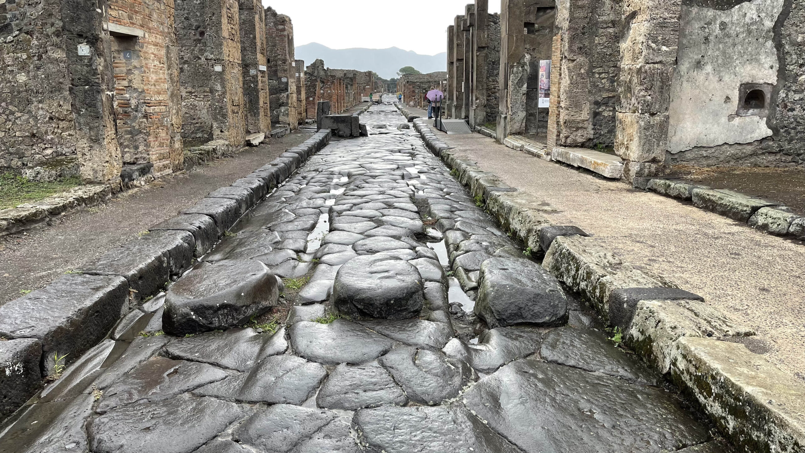 Dating Pompeii II: The Material Evidence