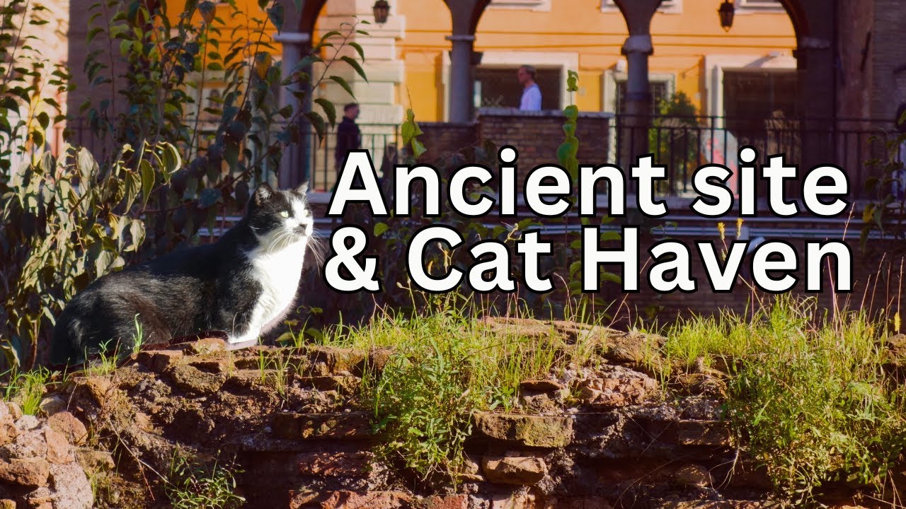 Ancient Rome Live Video Largo Argentina (Argentina Square) UyMu6aN PrI Thumbnail